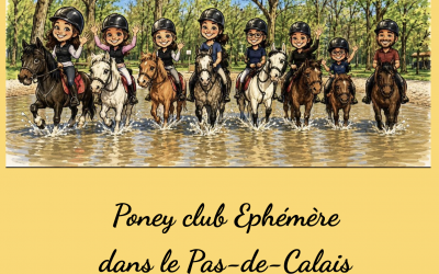 Poney Club Éphémère dans le Pas-de-Calais